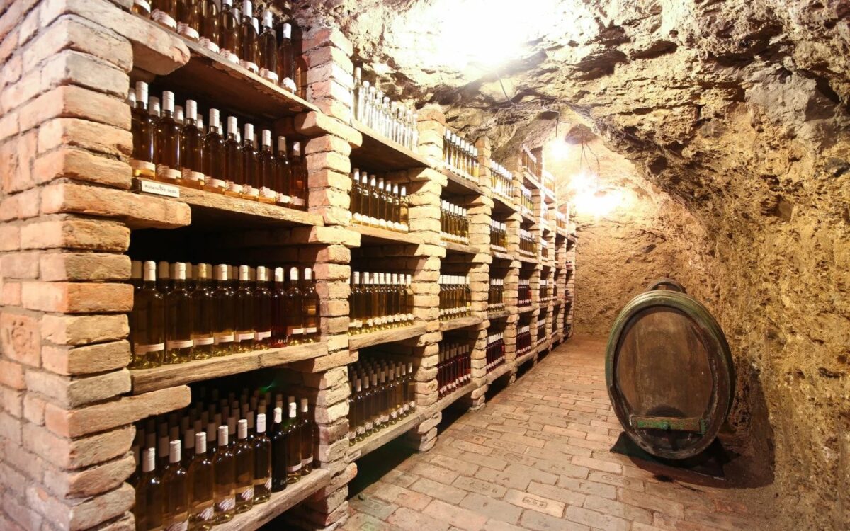 Jižní Morava s degustací vín, wellness a polopenzí pro 2 osoby od 4.499 Kč