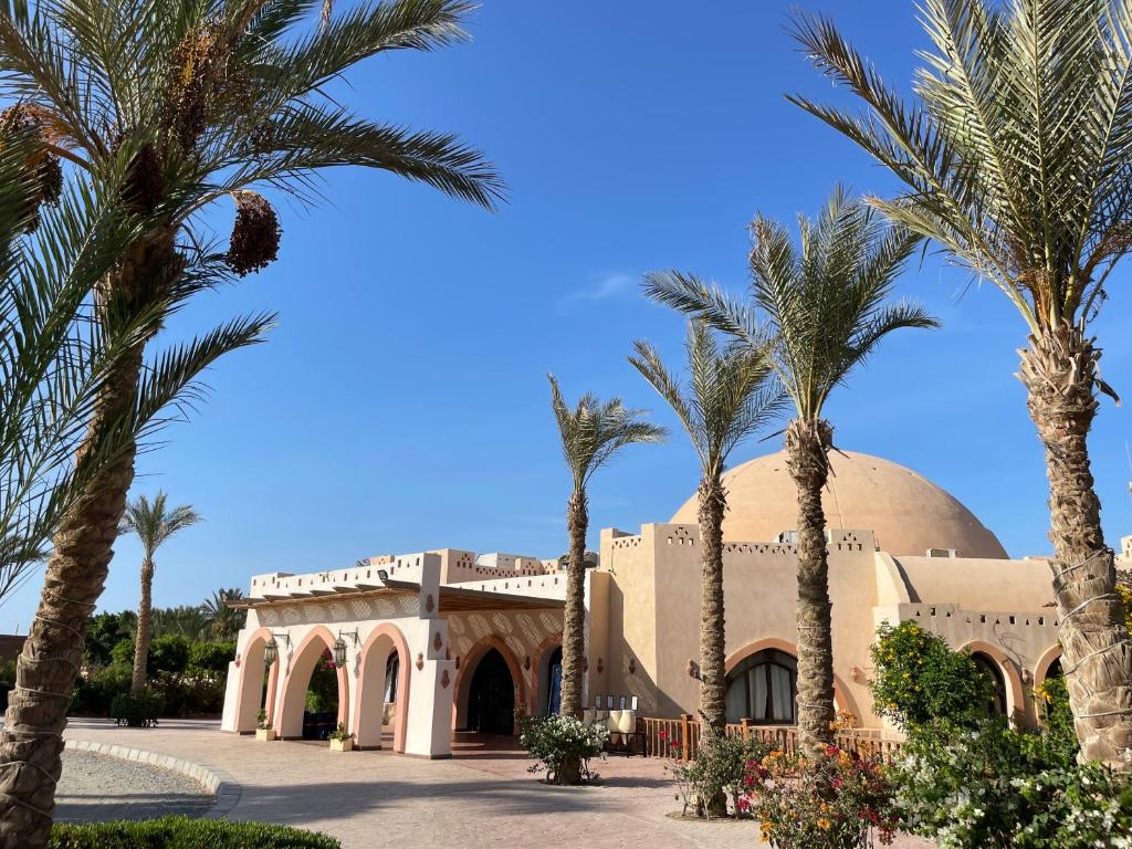 Egypt na osm dní s all inclusive jen za 6.990 Kč