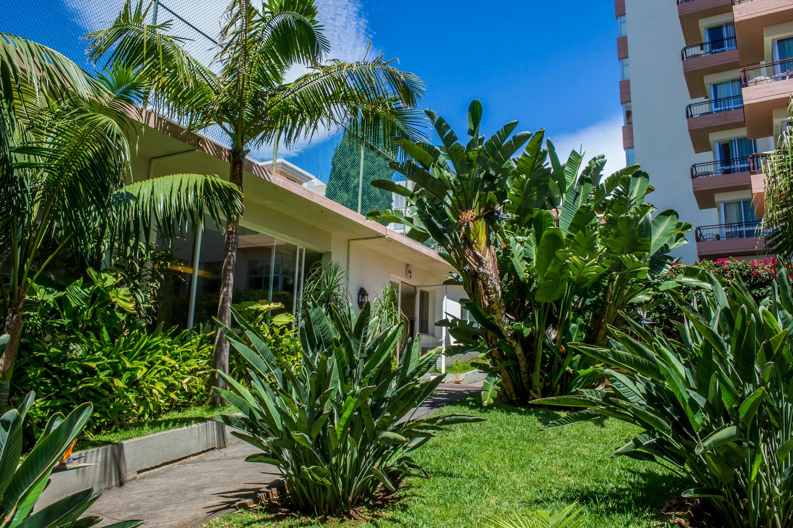 Madeira na osm dní s polopenzí jen za 12.690 Kč